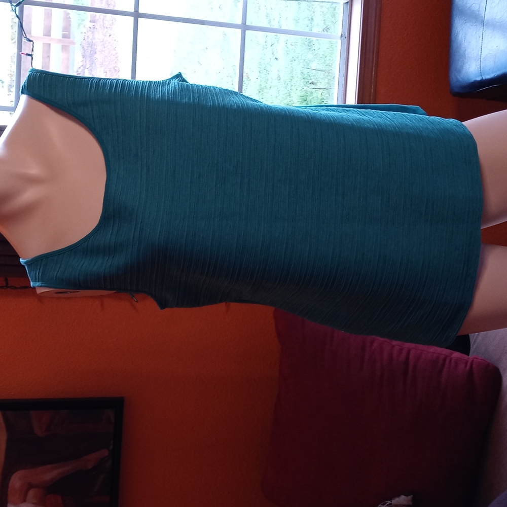 Ann taylor tank size m